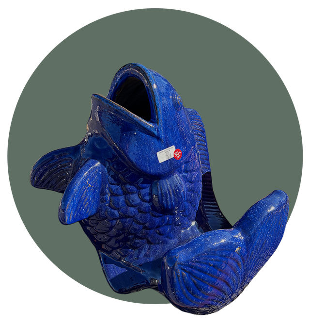 Year-Round Garden Deals | Trees, Shrubs, Houseplants, and more